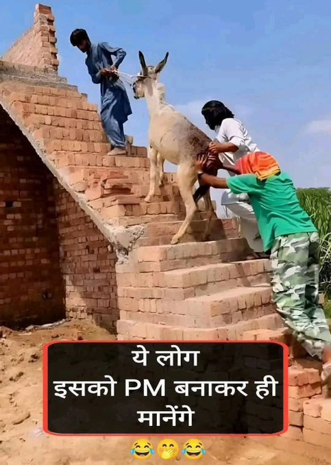 Pukhraj beniwal tweet media