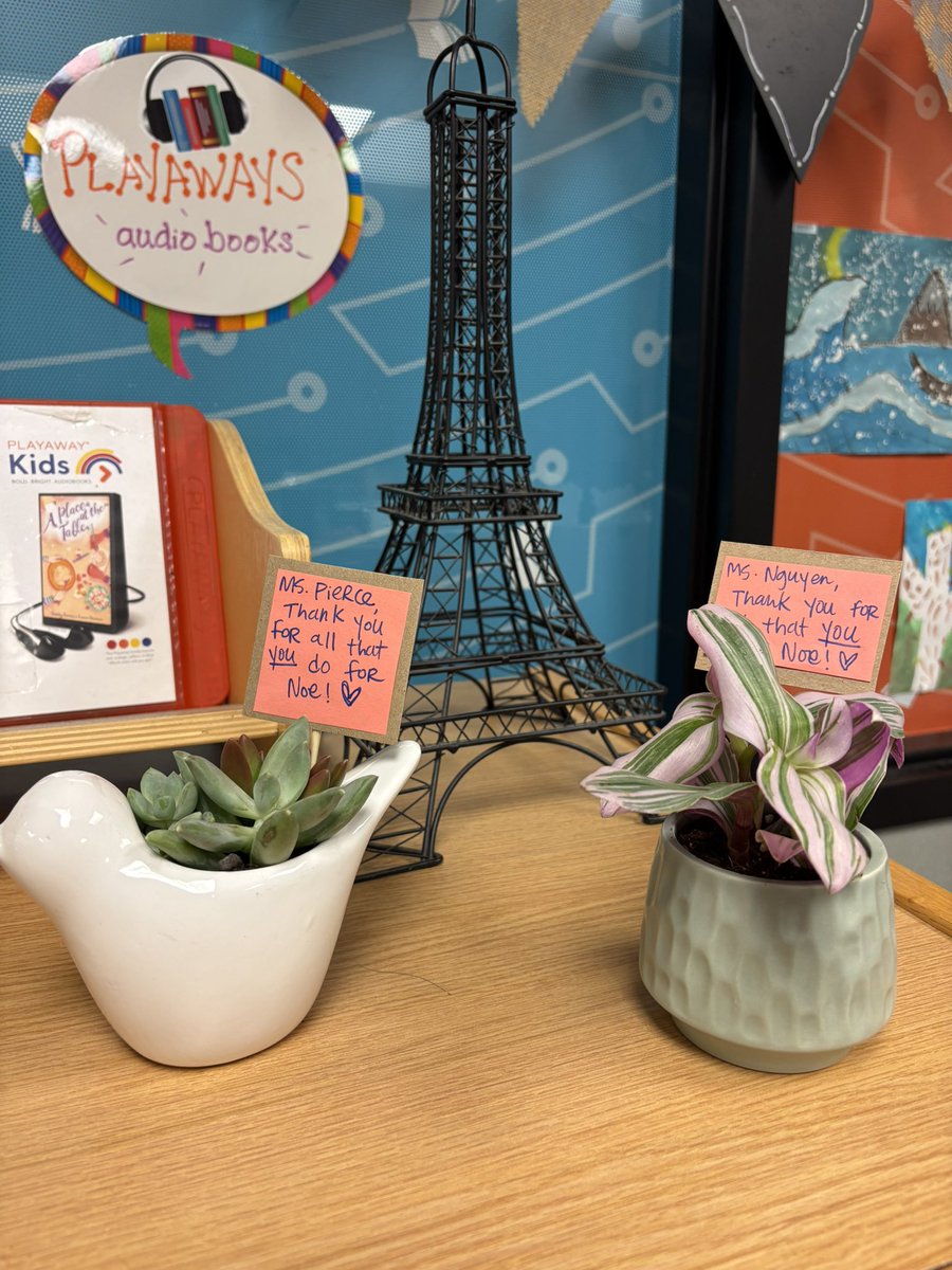 Noe Middle School Library tweet media