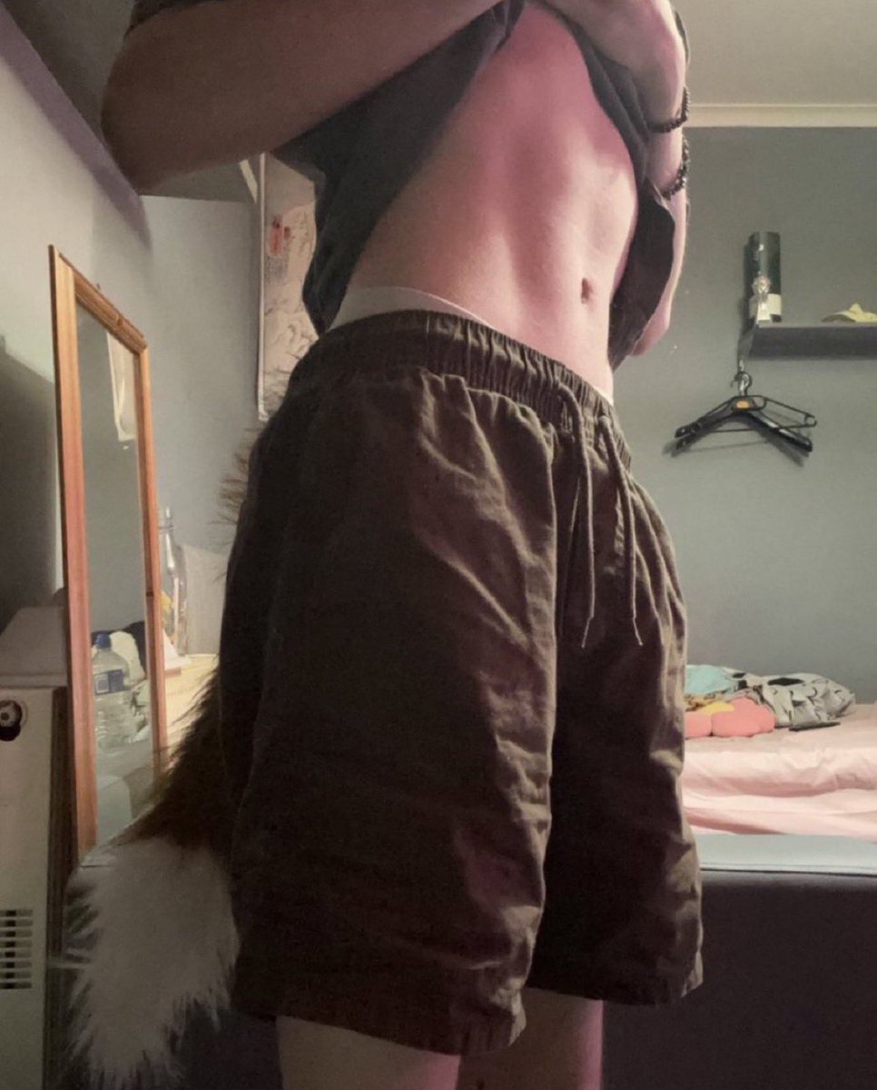 teddy! 🐾 tweet media