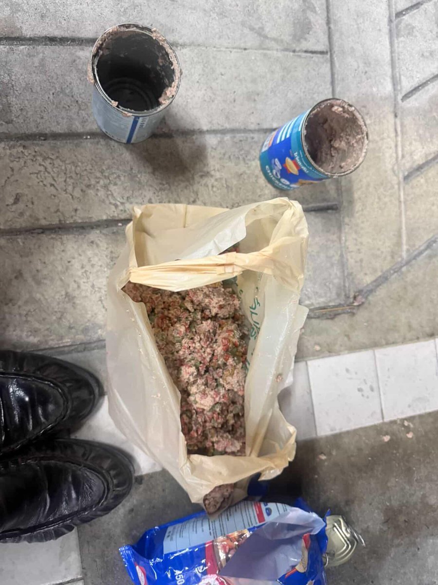 𝐌𝐨𝐦 𝐉𝐨𝐨𝐧𝐠♡~✨️ tweet media