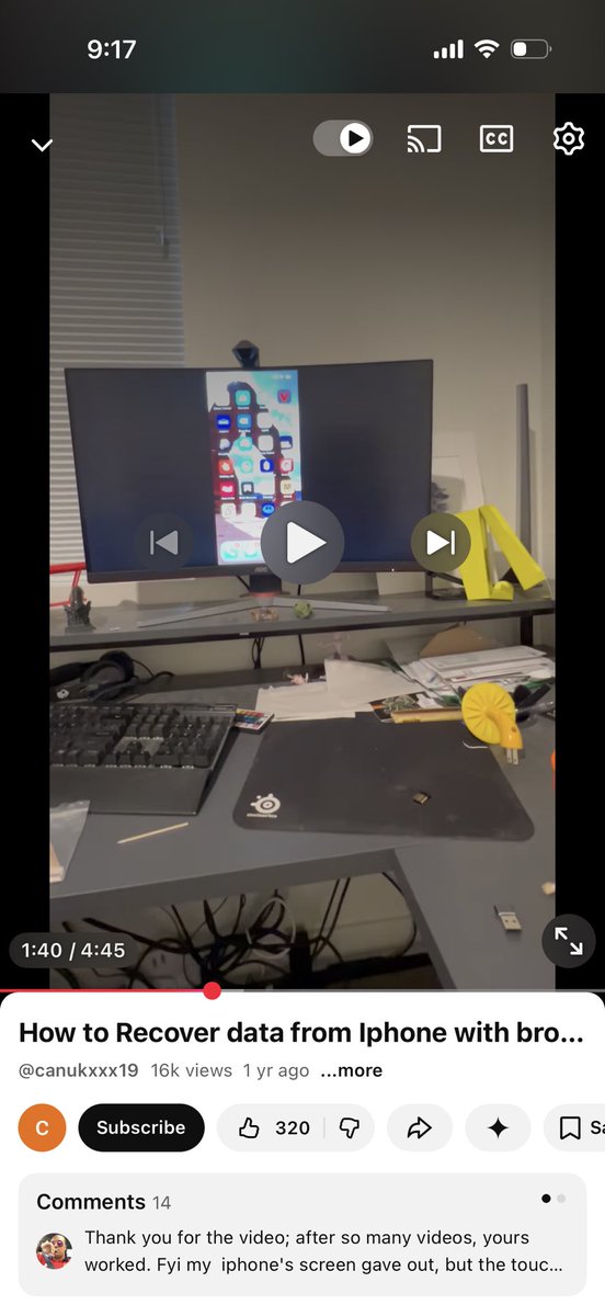 lily tweet media