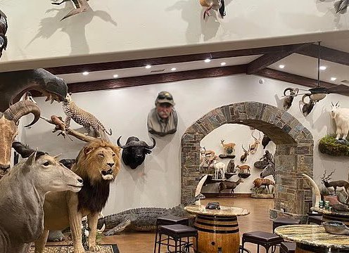 <a href="/RT_com/">RT</a> Trophy wall update.👍