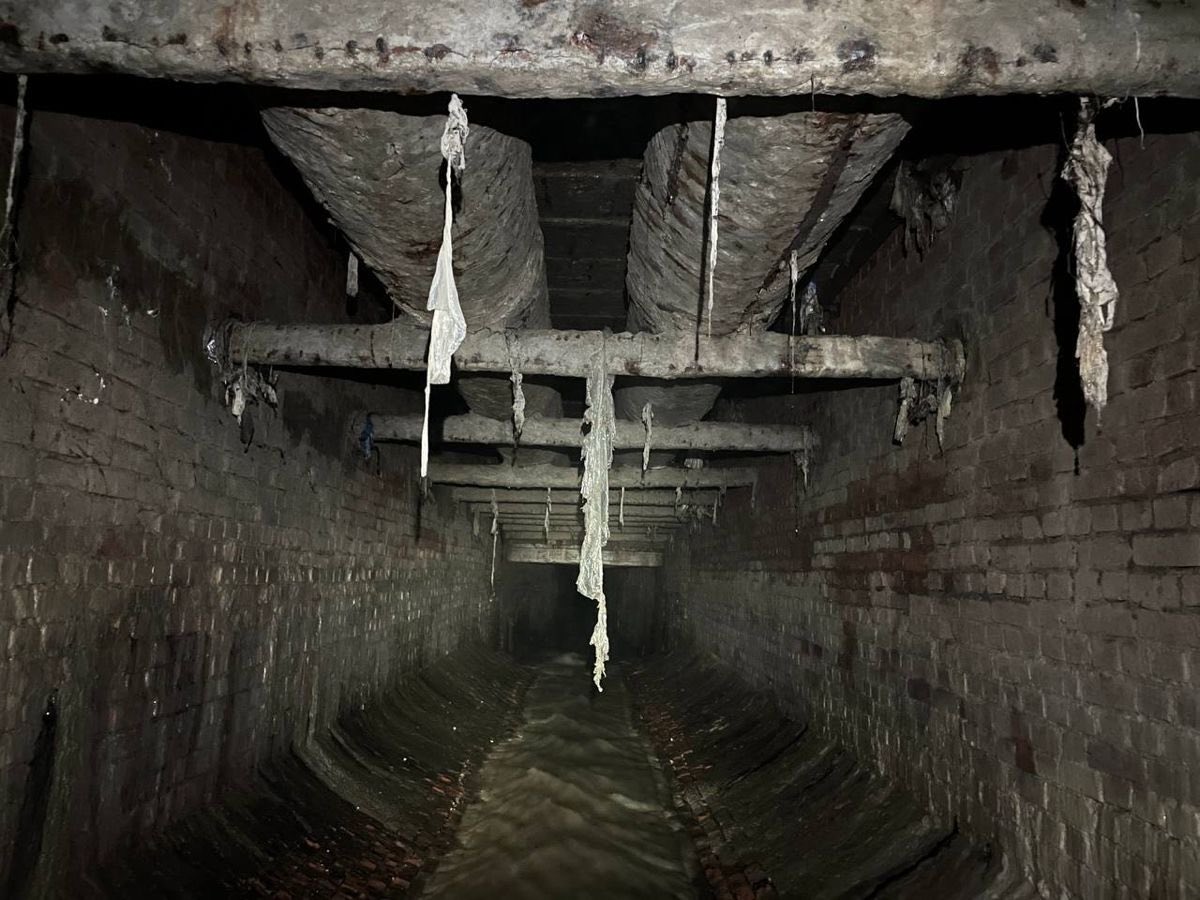 amalgamatomaton tweet media