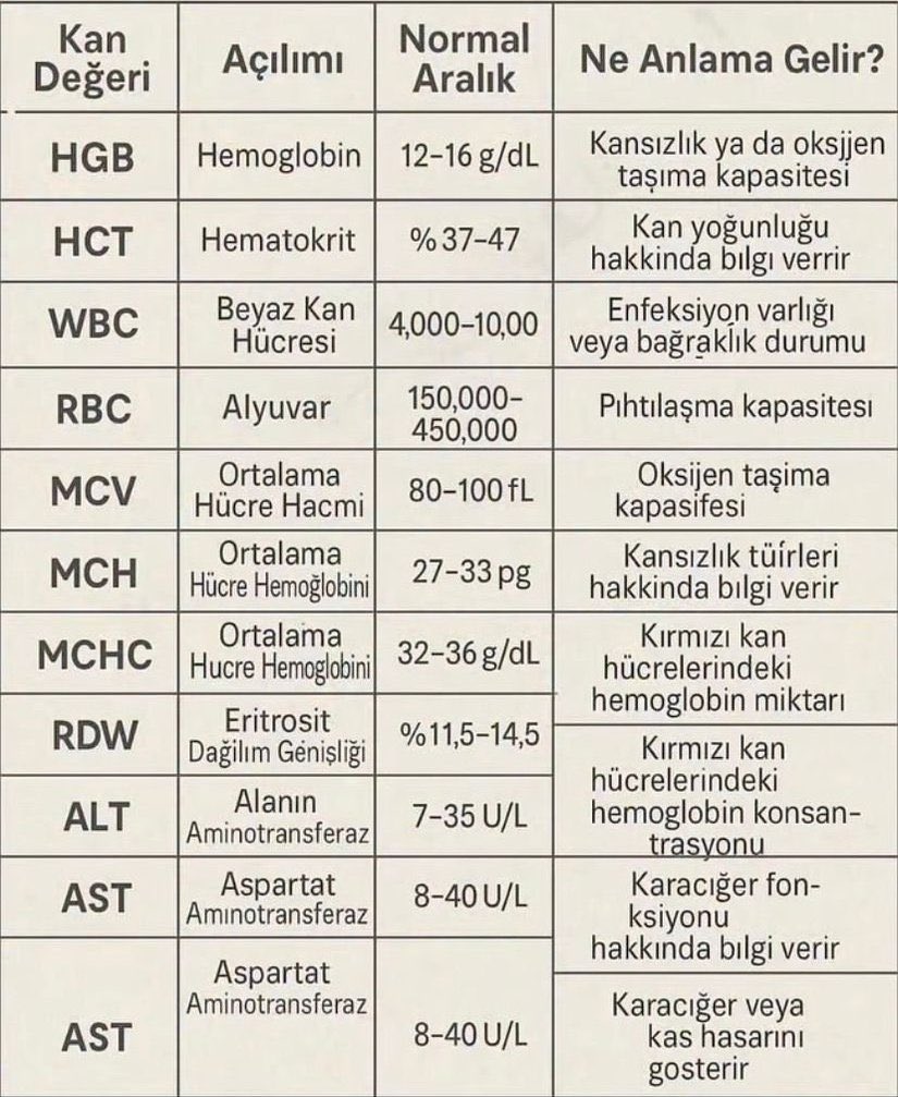 Bilgilerce tweet media