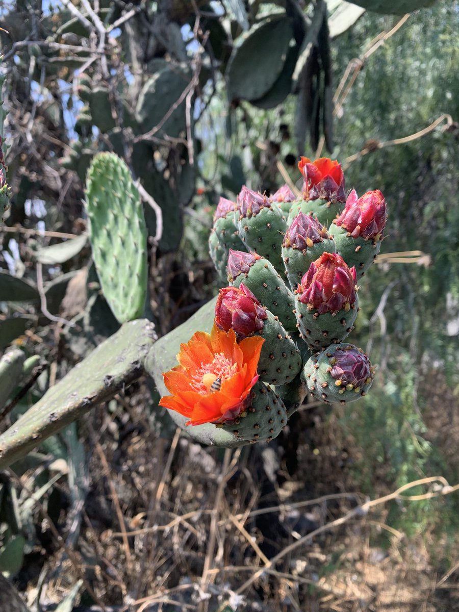 jaimesoler.bsky.social tweet media