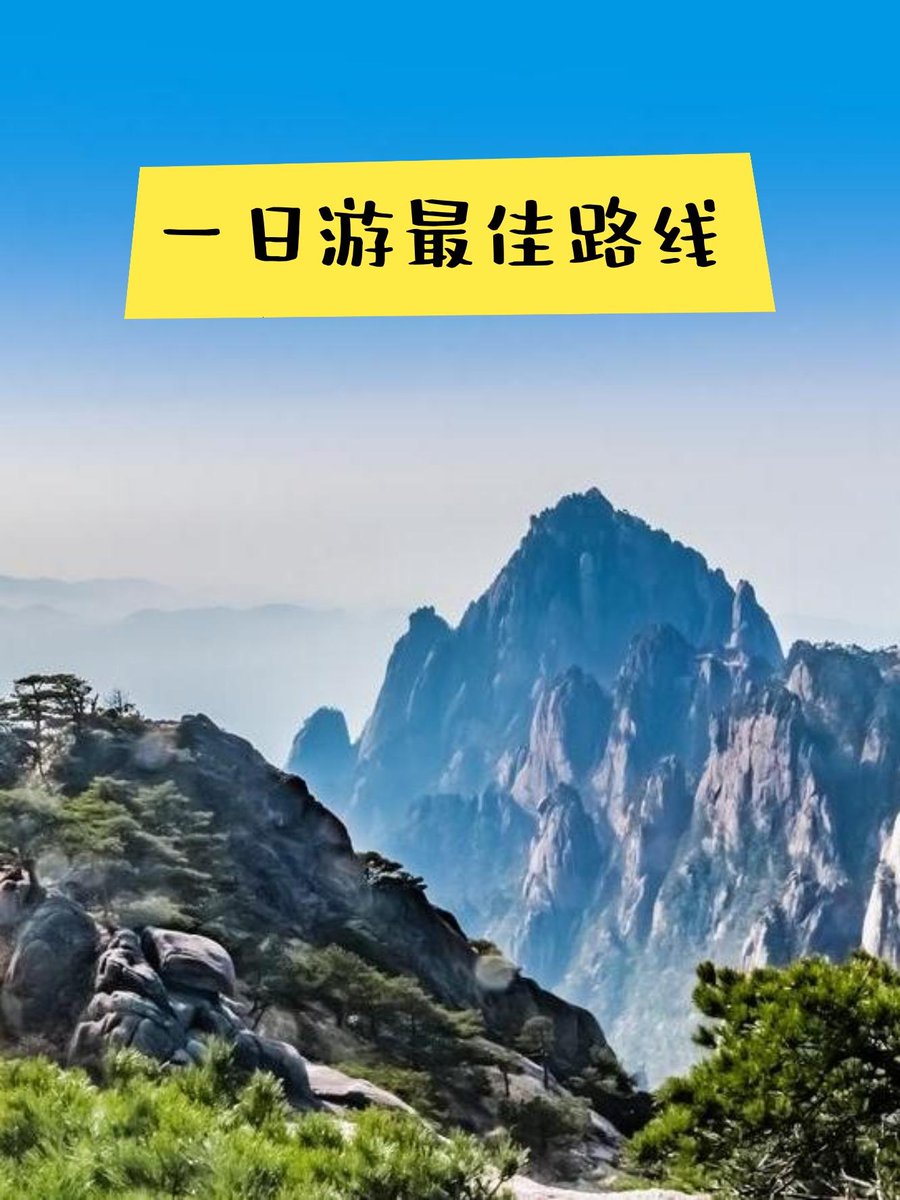 Bo Tam tweet media