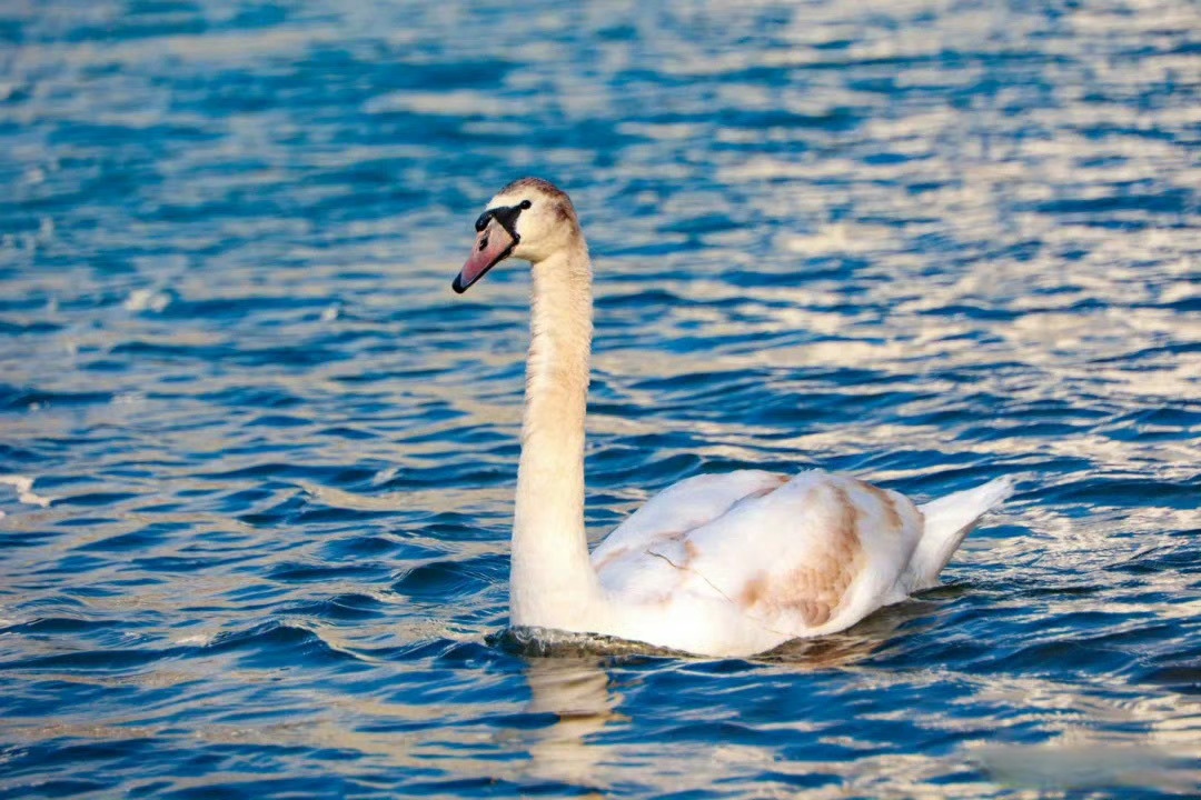 Rafał Witkowski tweet media