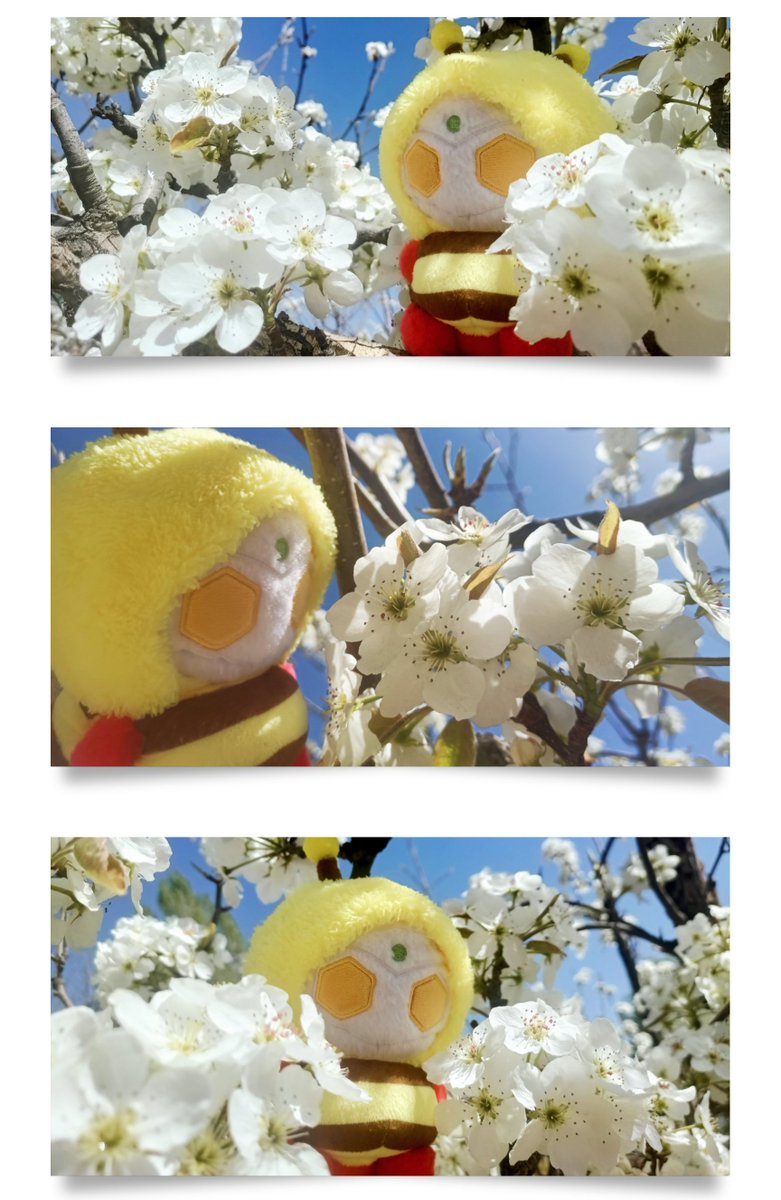 ☀