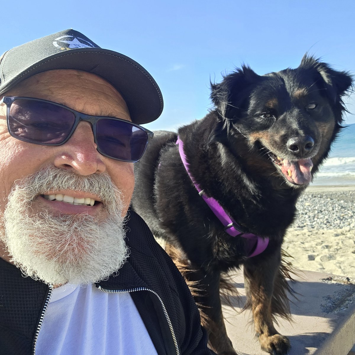 Habetman tweet media