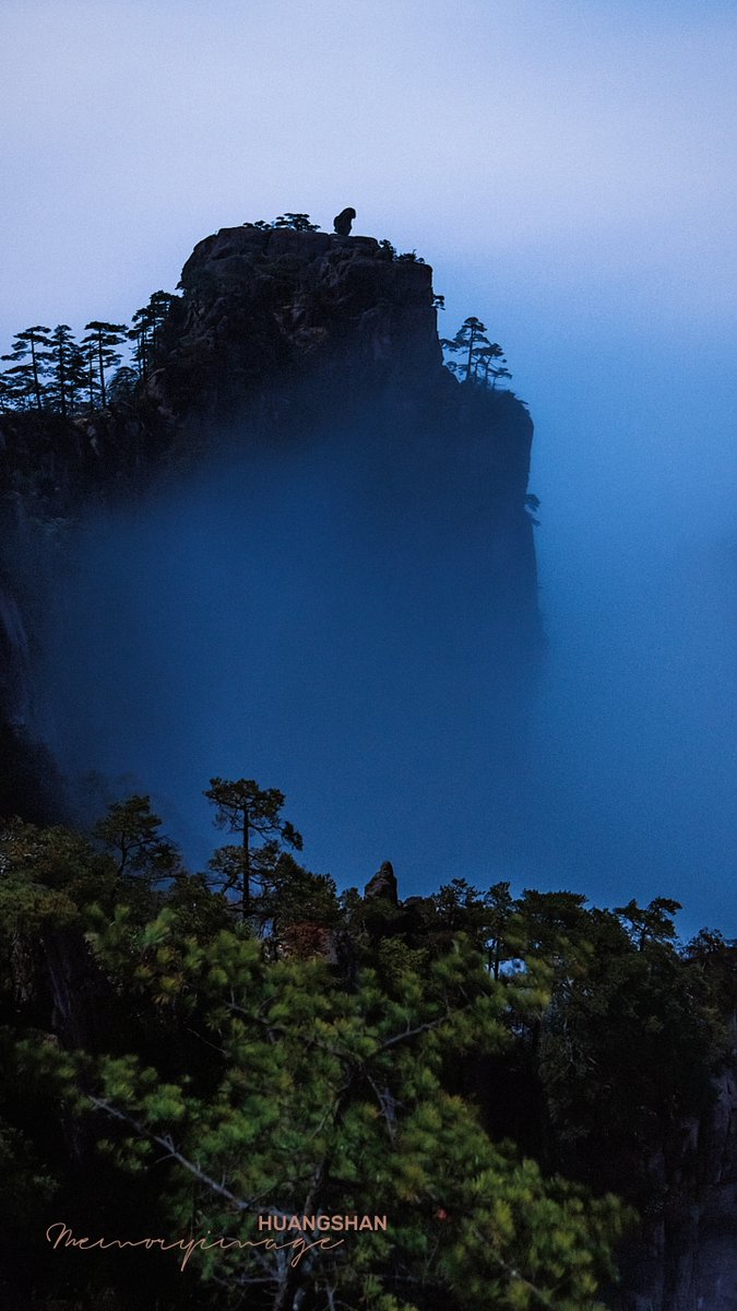 golda jade eugenio tweet media