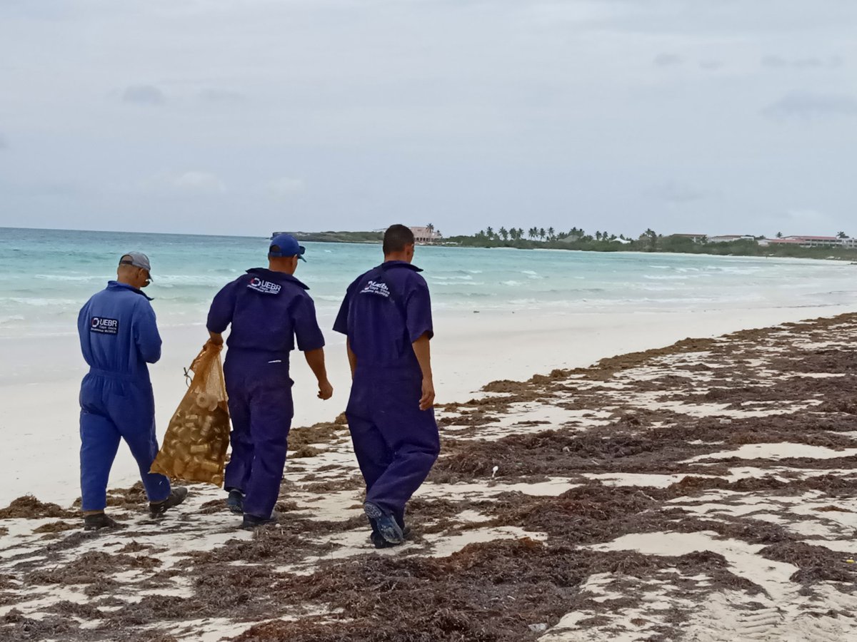 romanrl87's tweet photo. Los #Ecoeventos en #PlayasArenosas constituyen otra modalidad de recuperación de #MateriasPrimas potenciada por la UEB #Recuperación #CayoCoco , perteneciente a @ERMP_CAV .
@cubarecicla @ArmandoRguezB @mcolivera2966 https://t.co/03UXilQpqX