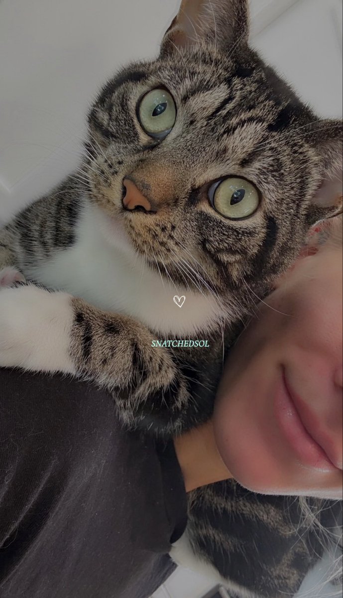 cal. | not @solrvca. tweet media