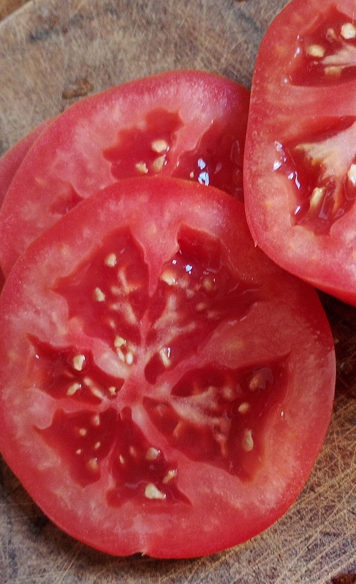 S de Sil 💫 tweet media