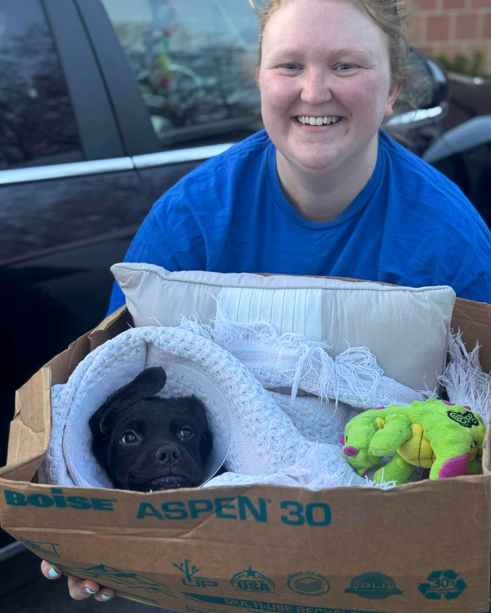 dog_rates's tweet photo. This is Draco. He was found as a stray with a rectal prolapse. He had surgery to fix it, without which he would not have survived. He's now at an emergency hospital where he still needs supportive care and a feeding tube. You can help him below ❤️‍🩹

https://t.co/Jpq5dD858w https://t.co/dnZbxCgO9x