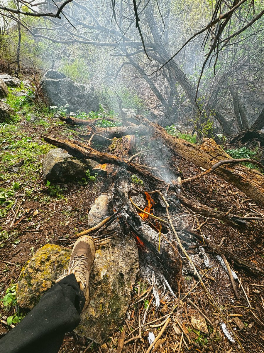 عه امیرم tweet media