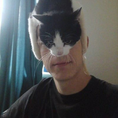 PATRIOTS OF BRITAIN tweet media