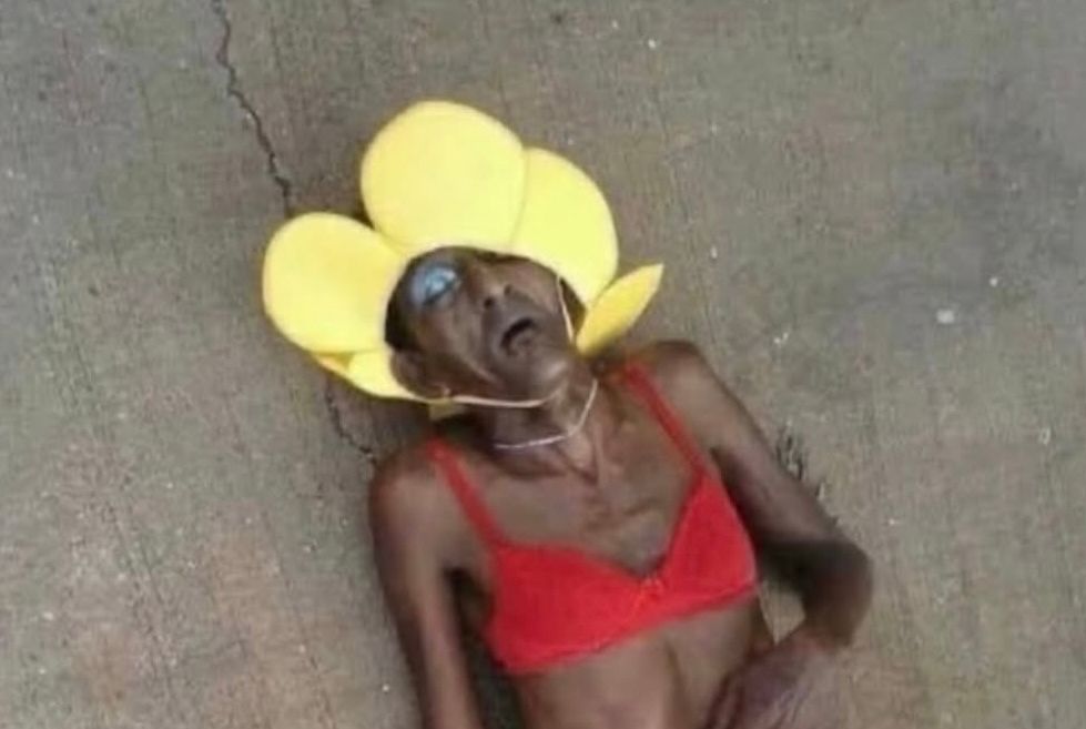 pan em crise. tweet media