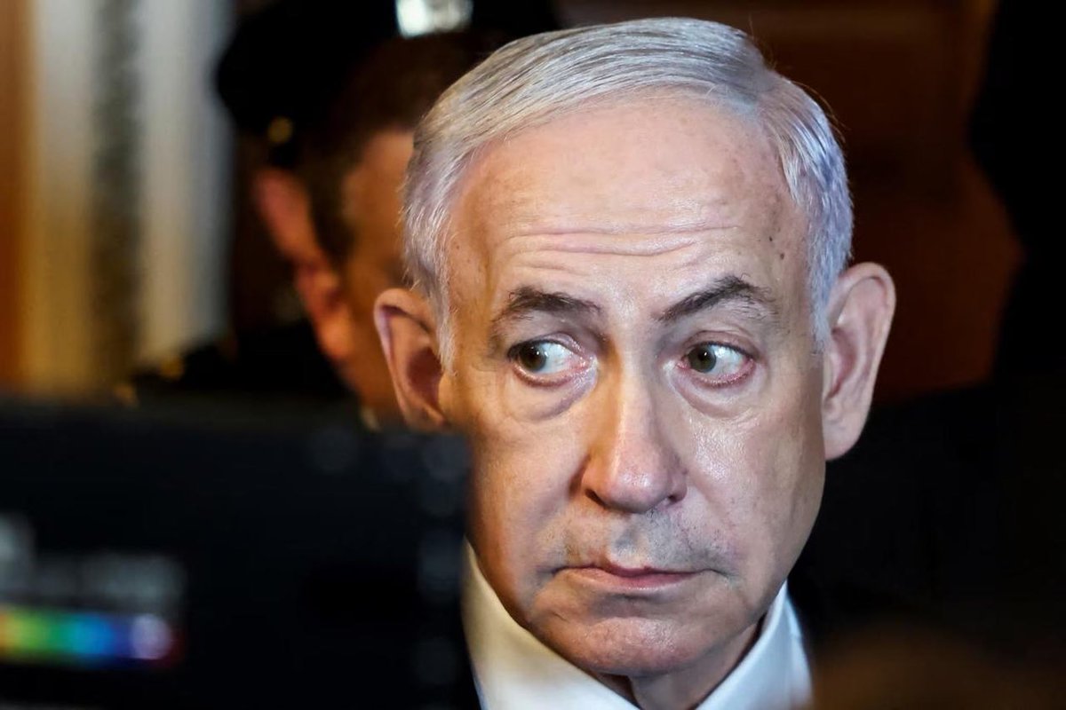 Alerta News 24 tweet media