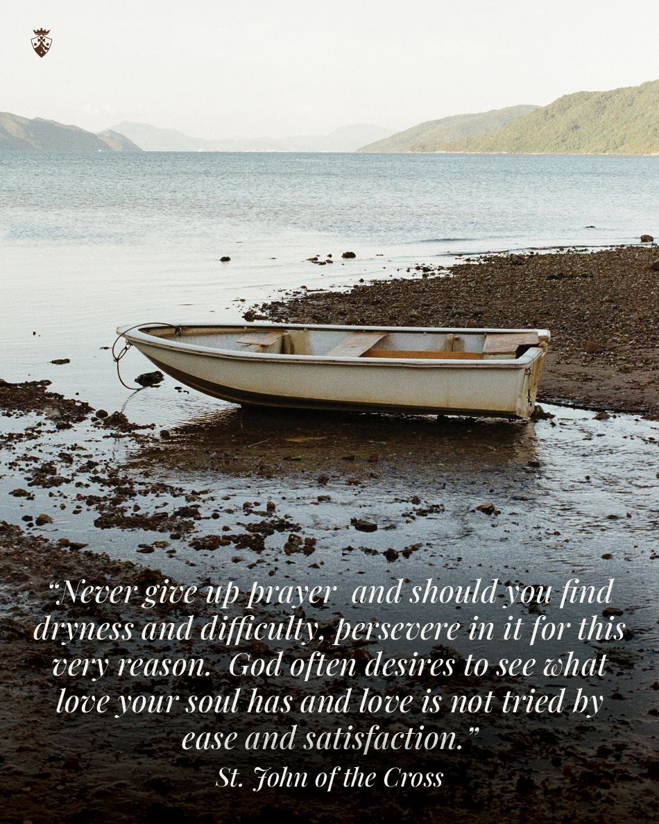 Carmelite Sisters tweet media