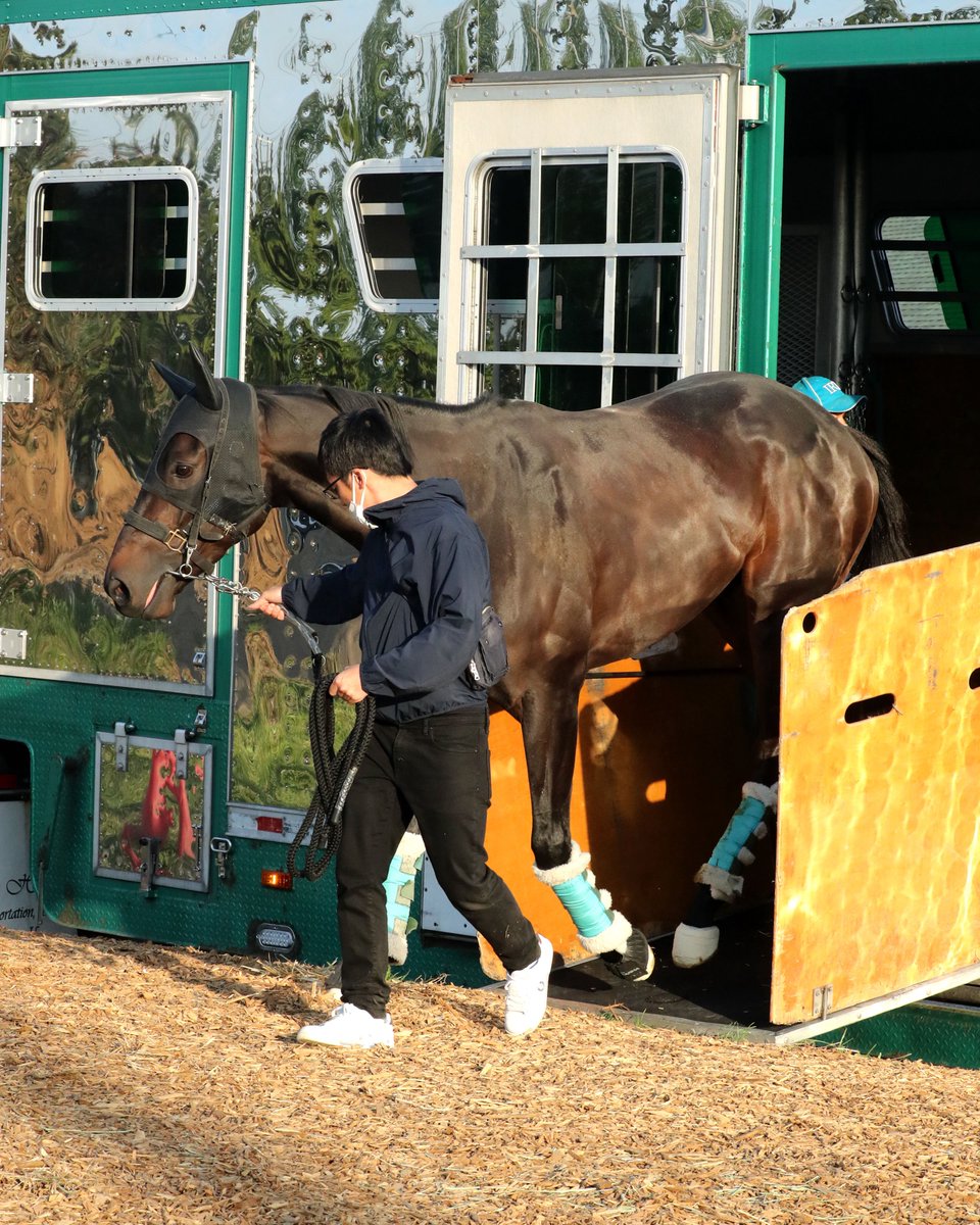 【非売品】ヘンリー・セシル公式バイオグラフィー 凱歌 (海外競馬・調教師) Katy (@InLuv_w_Horses) / Posts / X