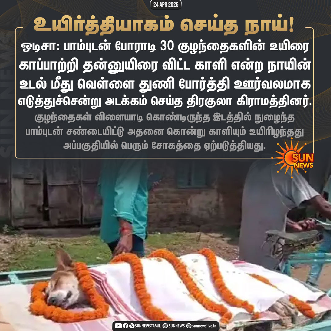 sunnewstamil's tweet photo. #NewsUpdate | பாம்புடன் போராடி குழந்தைகளை காப்பாற்றி, தன்னுயிரை விட்ட நாயை அடக்கம் செய்த கிராமத்தினர்!

#SunNews | #Odisha https://t.co/H3nf4S7lKe