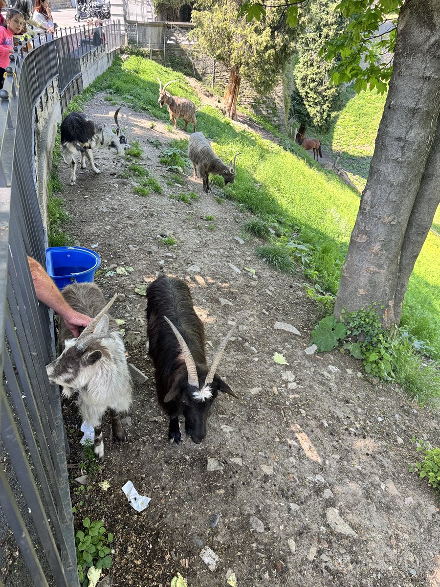 میگن حاج مهدی tweet media