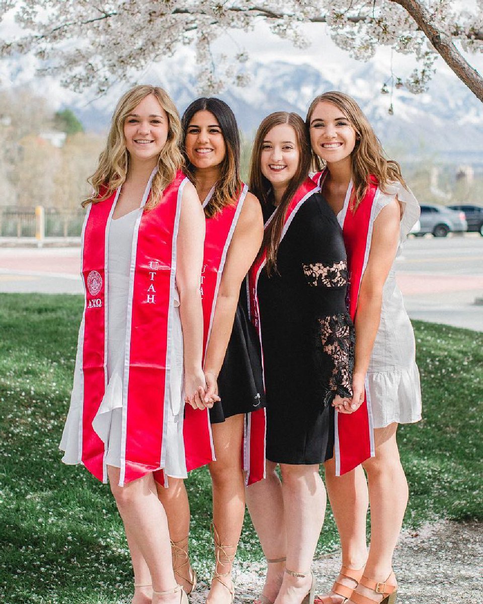 utahalumni's tweet photo. Commencement is less than a week away, and to celebrate, we’re giving away TEN diploma frames to ’26 grads! Check out our Instagram post for more details 📸🎓✨ 

#UtahAlumni #UofU #UniversityofUtah #UtahGrad26 https://t.co/O7YpxB5ljV
