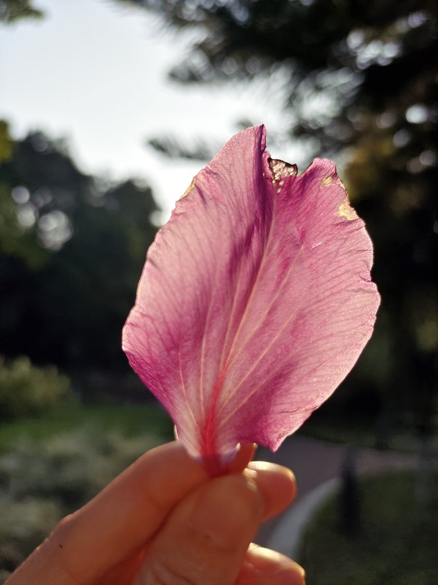 GÖKHAN GÜRBÜZ tweet media