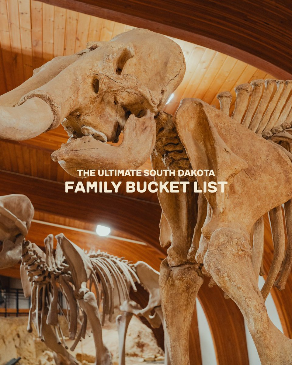 southdakota's tweet image. The ultimate South Dakota family bucket list: @WallDrug, @MountRushmoreNM,  @BadlandsNPS, Sylvan Lake in @CusterStatePark, @LaurasPrairie, @TheMammothSite, Dignity of Earth and Sky, Hjem A.M., and don’t forget to try plenty of chislic along the way. 👀

#FamilyVacation #RoadTrip