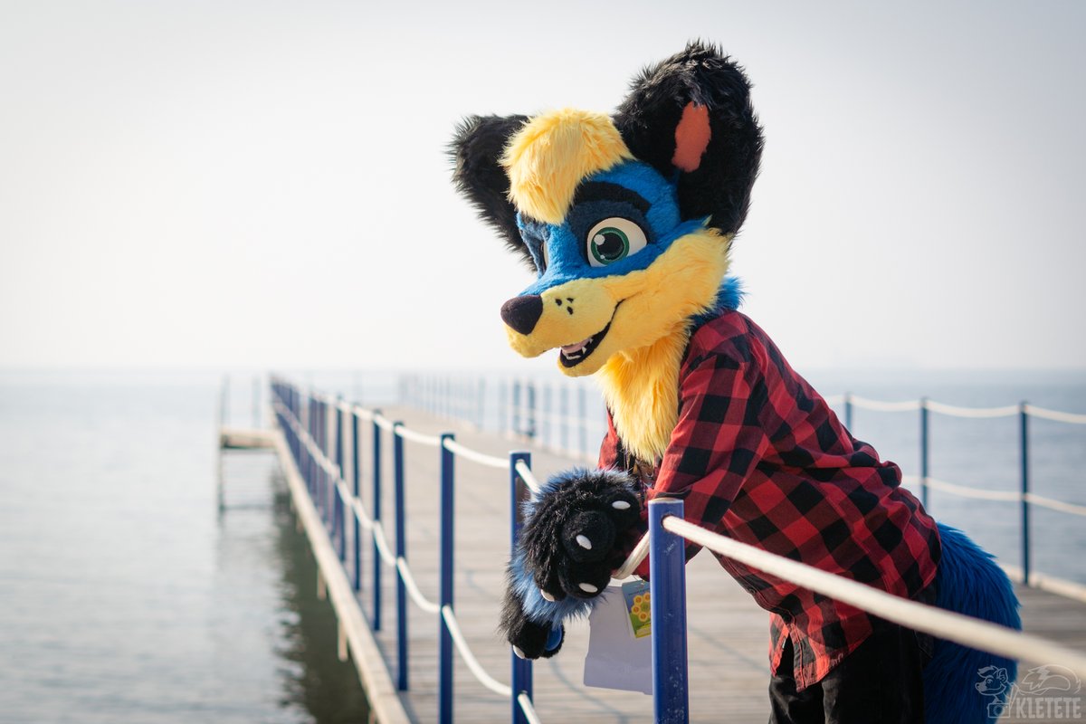 Over the sea 🌊
Happy #fursuitfriday

📸 @azsharakletete