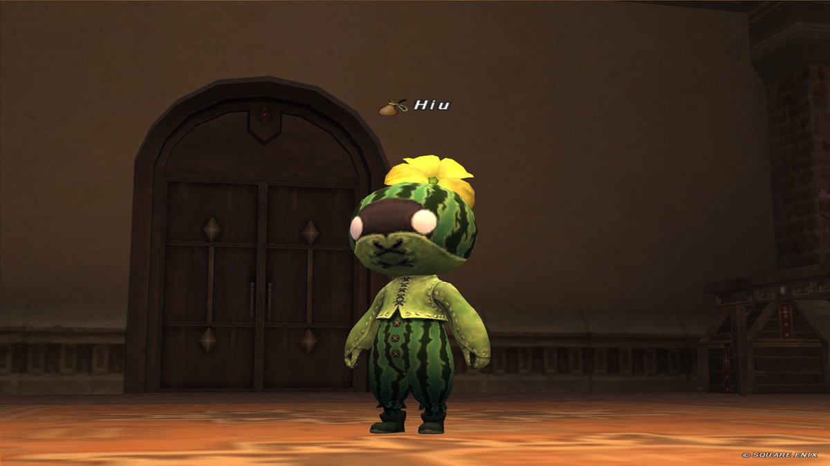 coroonn56's tweet photo. FF11のウィンダスミッションに
やっとこドッコイ
トット様が！！

なんかついでに
スイカにもなりました♪ https://t.co/rjVGCLFkDi