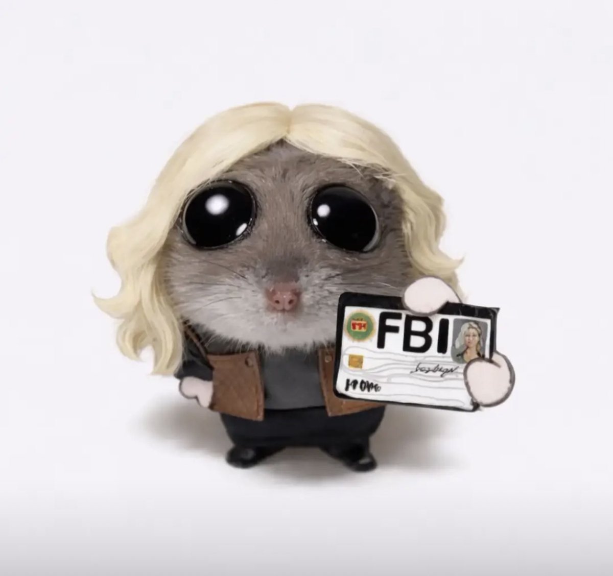 艾莉小姐 tweet media