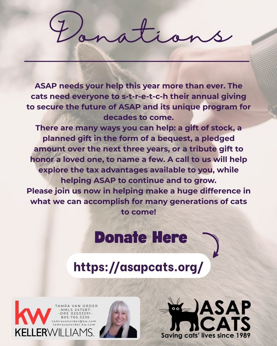 TamraVanOrder's tweet image. 🐾 Help ASAP Cats continue their mission 💜

Every donation makes a difference
🔗 asapcats.org

Give back + support local 🐱

#ASAPCats #GiveBack #SantaBarbara