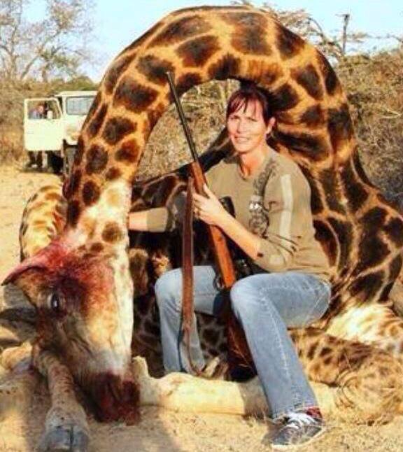 Patrick PINTO tweet media