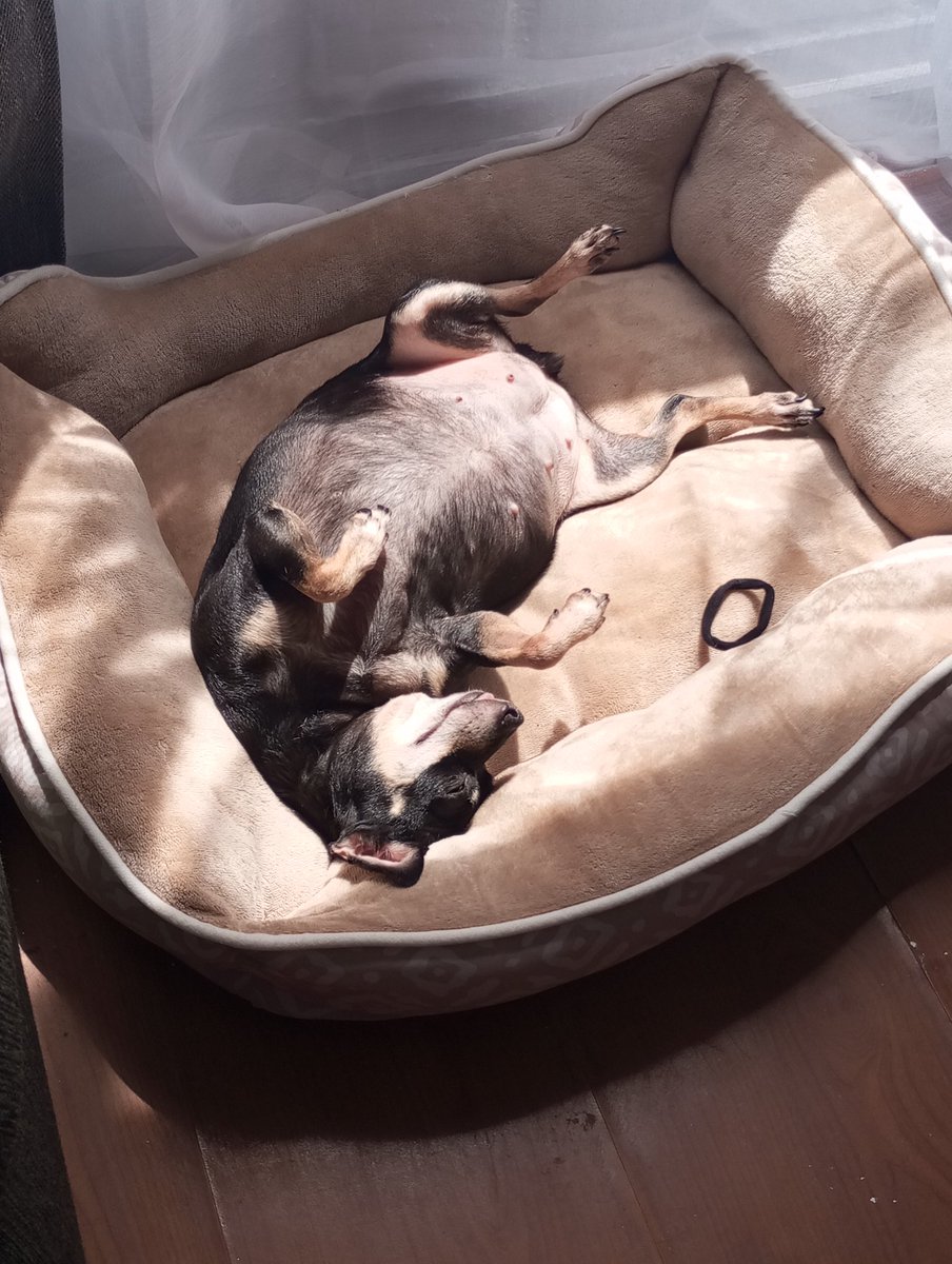 Angy25283's tweet photo. @TradingLatino Yo espero la próxima entrada relax 🤭 https://t.co/l1N4B1VedU