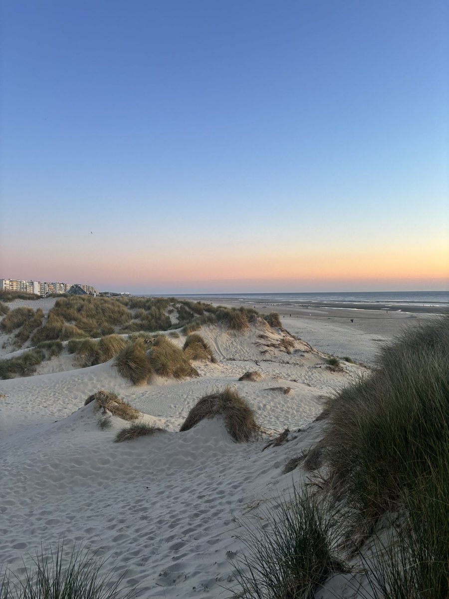 𝙇𝙖𝙪𝙧𝙖 🪽 tweet media