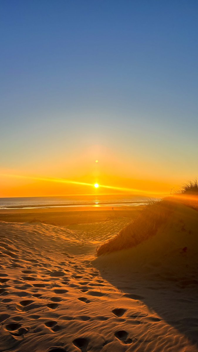 𝙇𝙖𝙪𝙧𝙖 🪽 tweet media