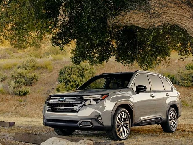 AtlanticSubaru's tweet photo. Happy #ForesterFriday! Visit us at Atlantic Subaru for a test drive and fall in love with the beloved Subaru Forester SUV.

View Inventory: https://t.co/pHO48bzDHD https://t.co/mAMIf4Y6dY