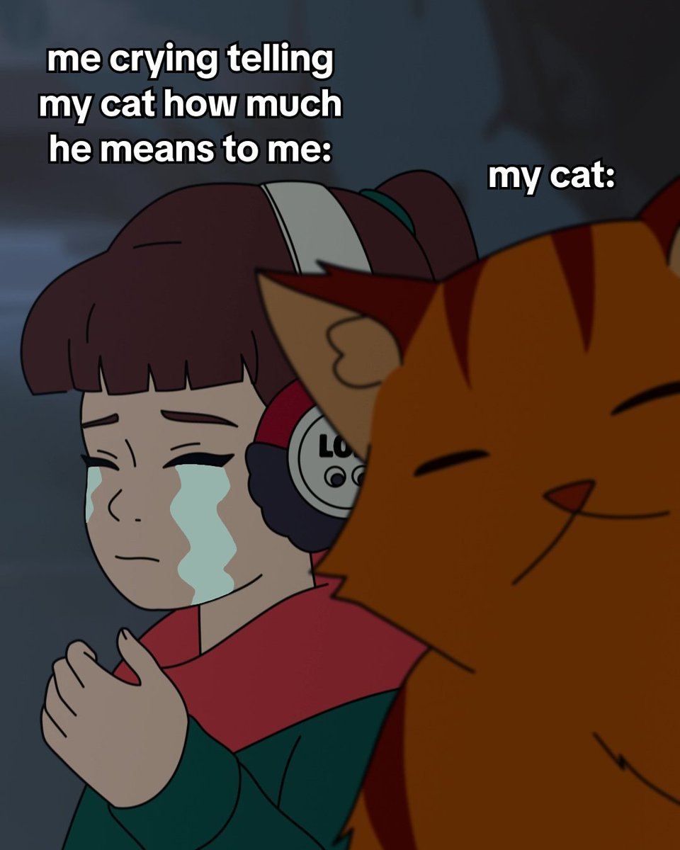 Lofi Girl tweet media