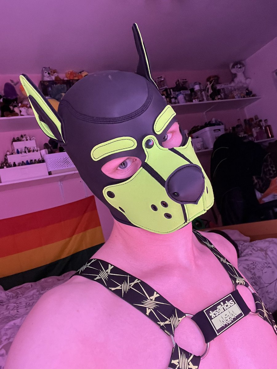 Lumi 🦴 tweet media