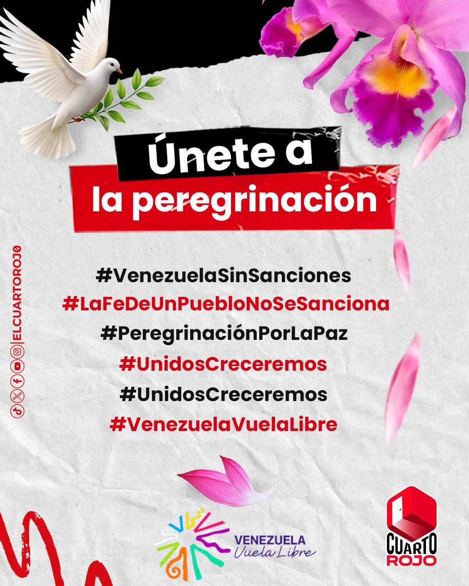 El Cuarto Rojo tweet media