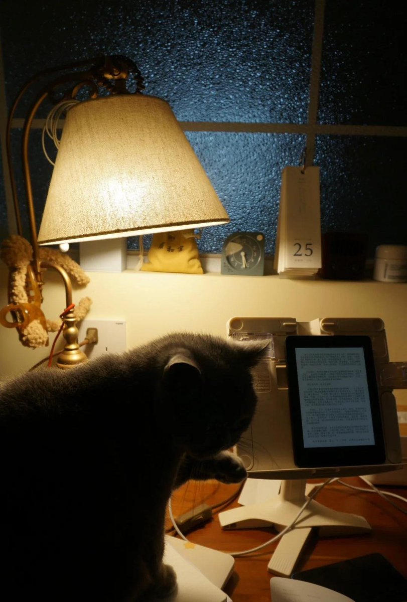 AHMAD SHEHADEH tweet media