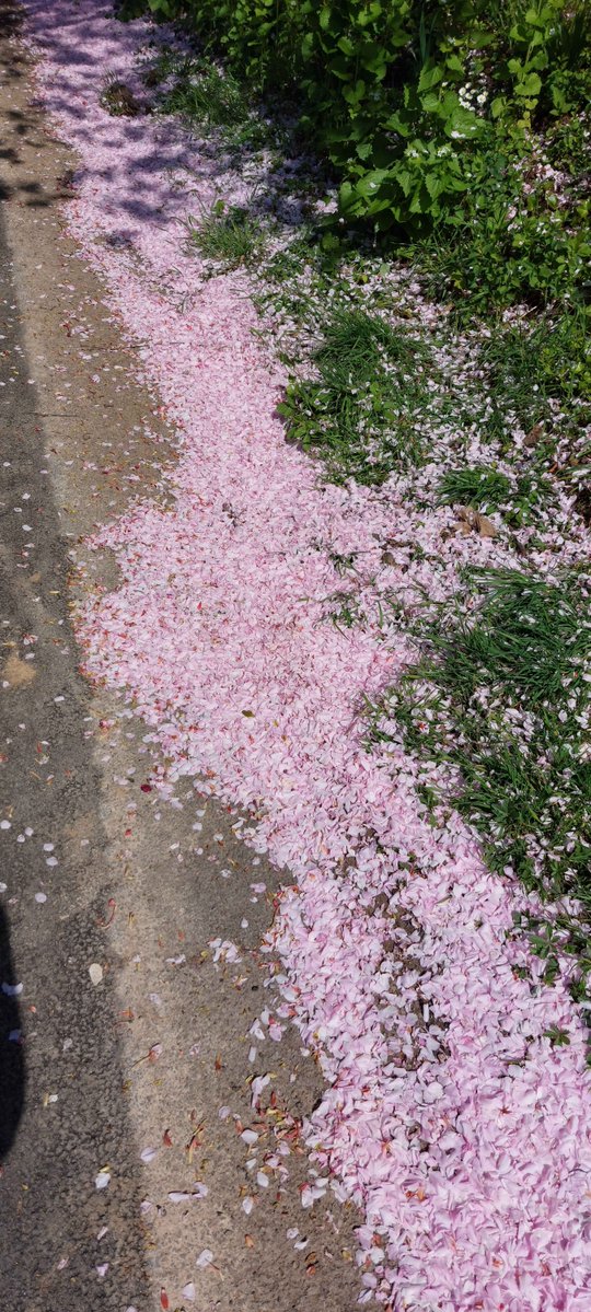 naiadnae tweet media