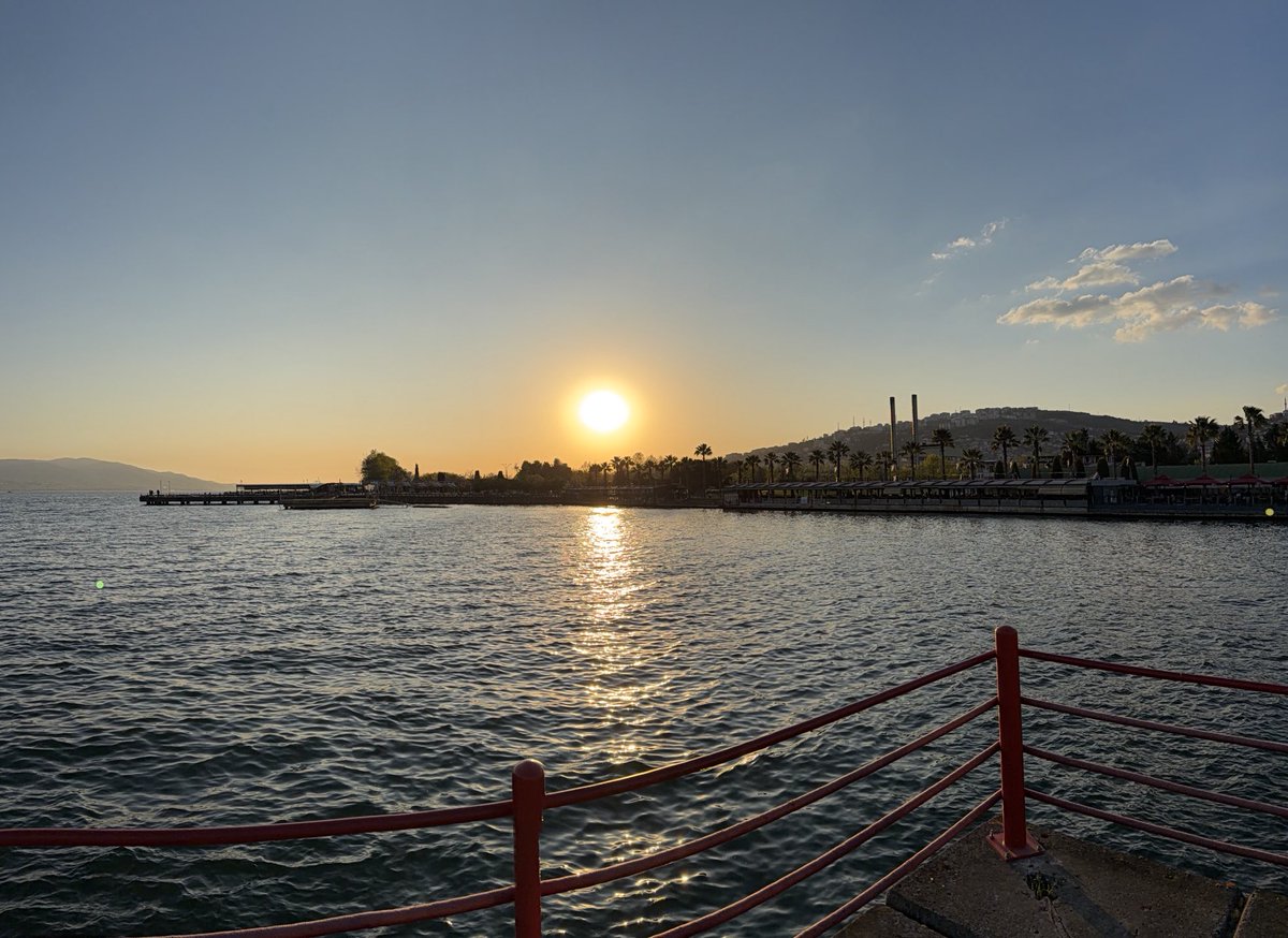 maviyeliz tweet media