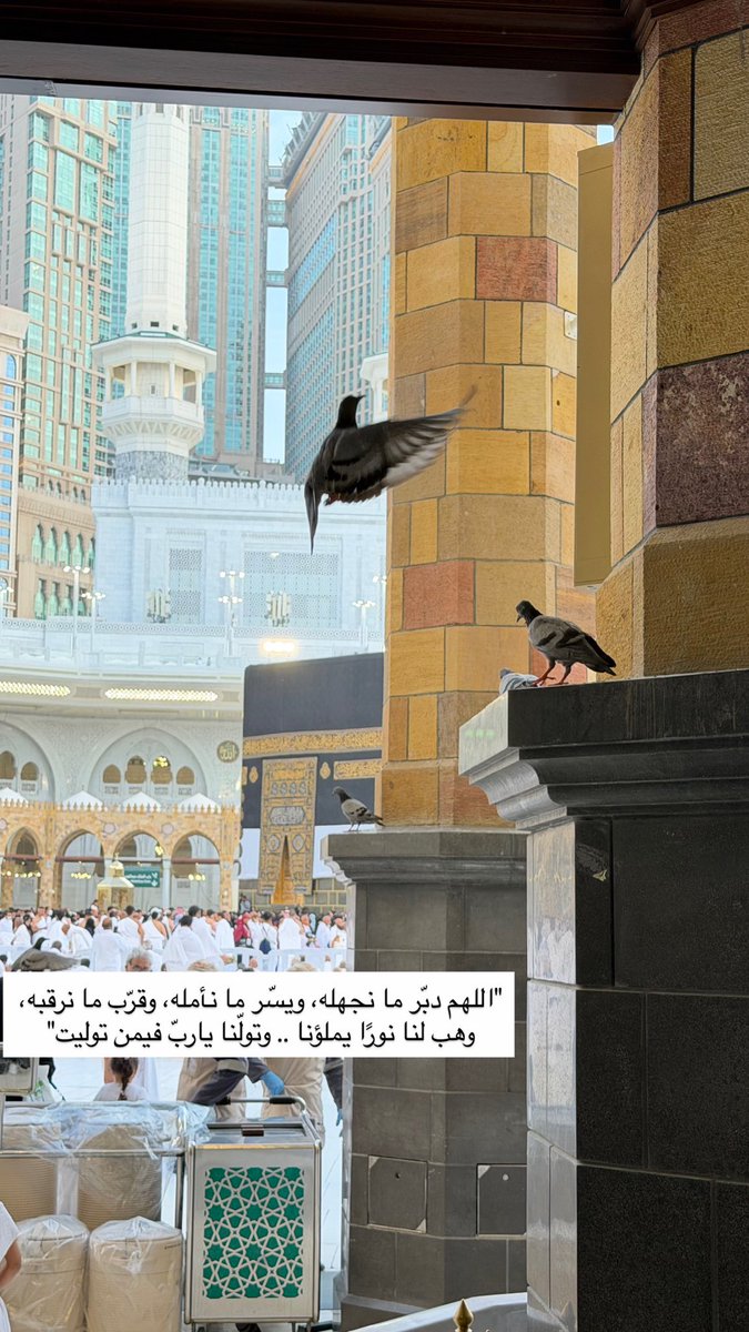 _ tweet media