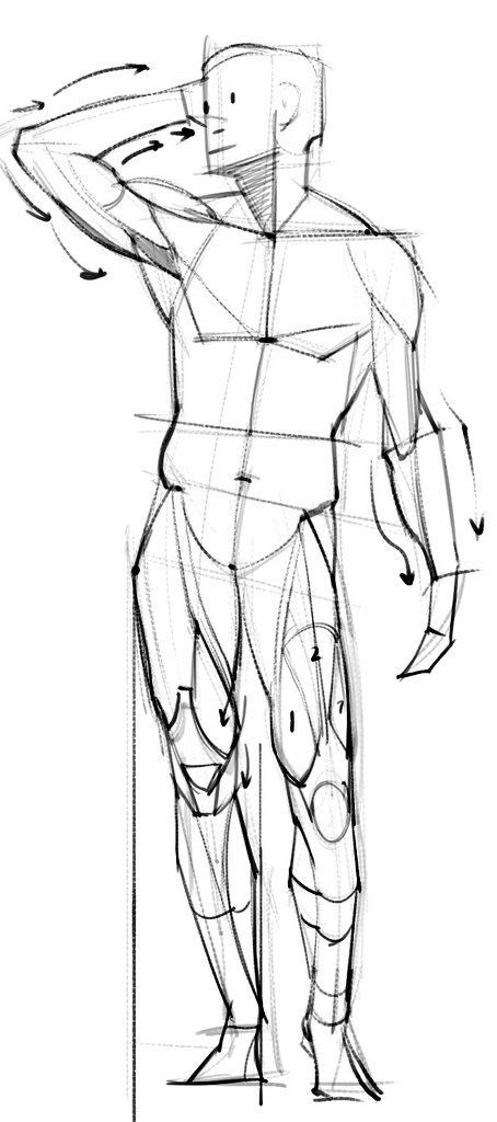 This is anatomy! You need to master this... but what about this face?