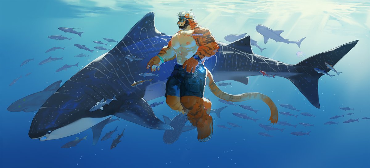 DLGR#312 tweet media