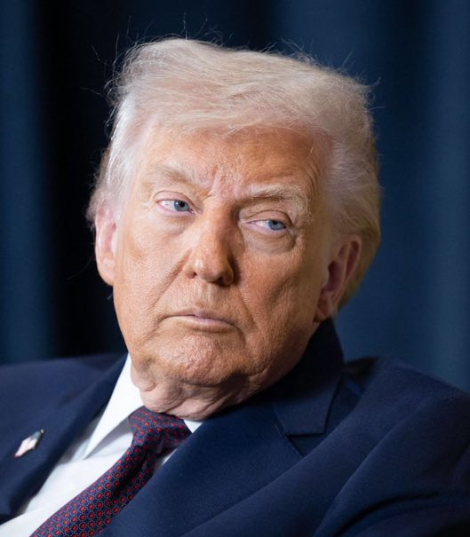 Penguin X tweet media