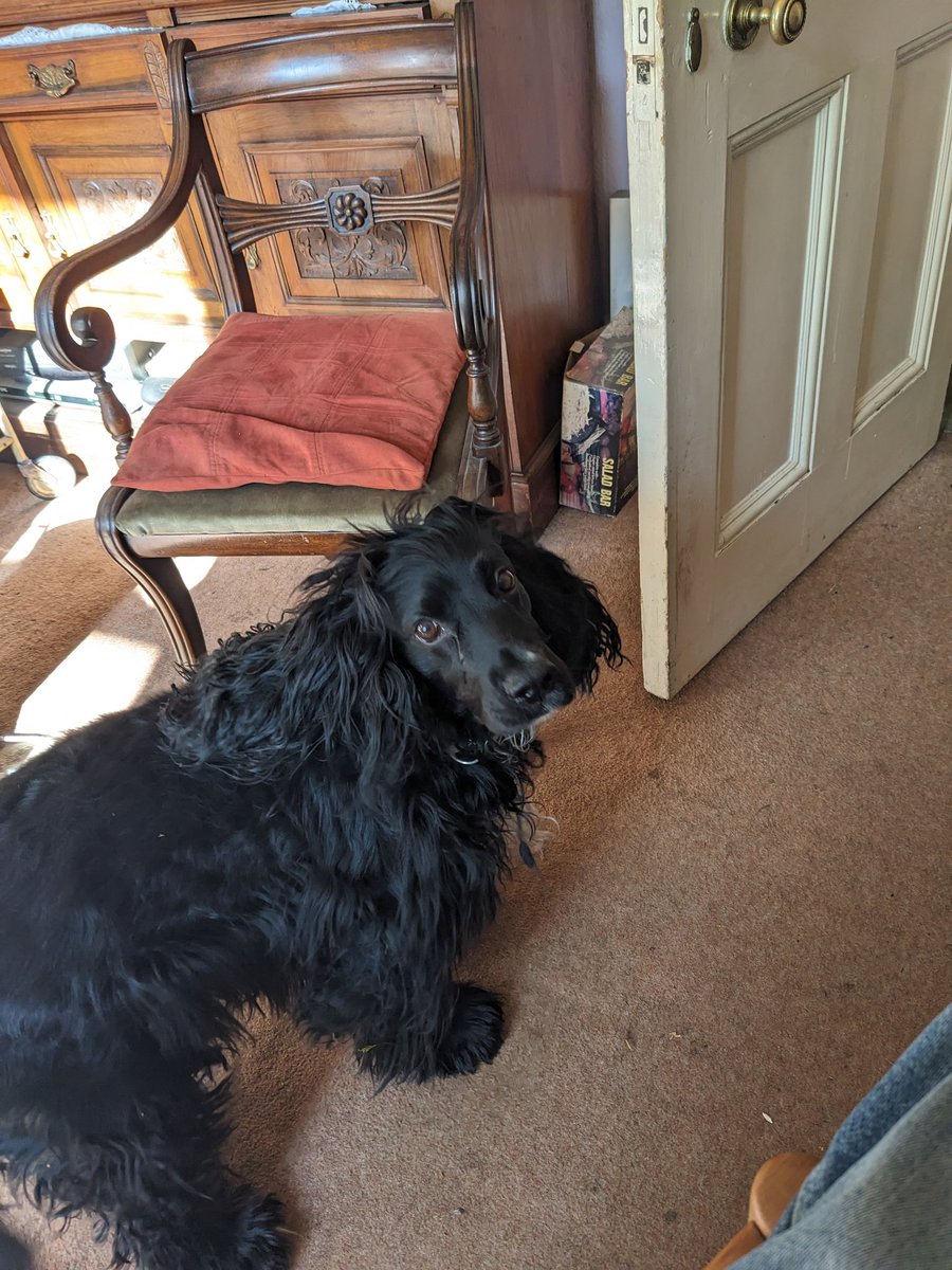 Mark Hunter tweet media