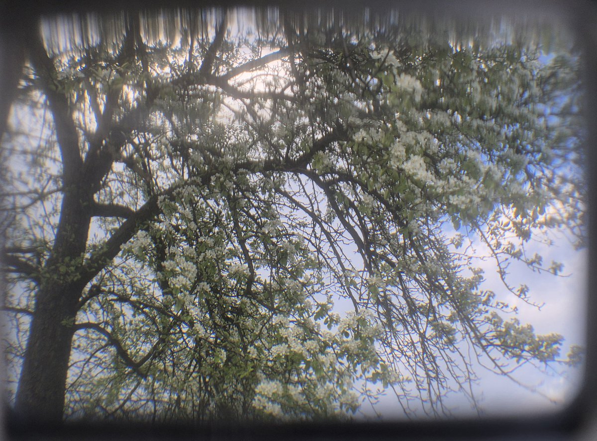 amelcia 🦇 tweet media